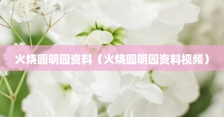 火烧圆明园资料（火烧圆明园资料视频）