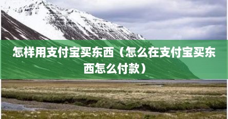 怎样用支付宝买东西（怎么在支付宝买东西怎么付款）