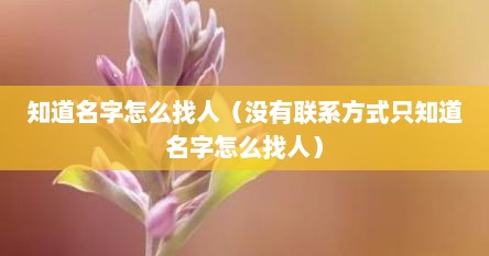 知道名字怎么找人（没有联系方式只知道名字怎么找人）