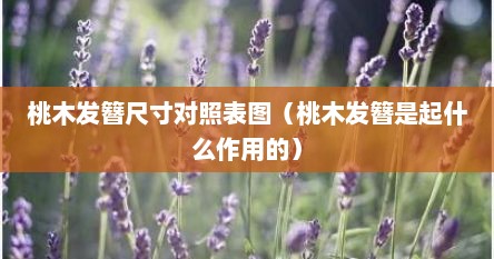 桃木发簪尺寸对照表图（桃木发簪是起什么作用的）