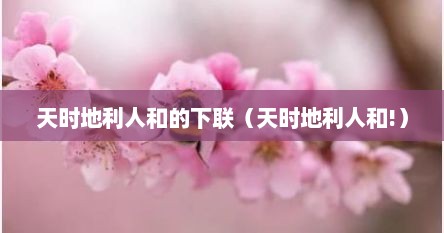 天时地利人和的下联（天时地利人和!）