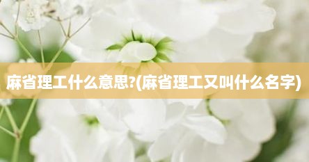 麻省理工什么意思?(麻省理工又叫什么名字)