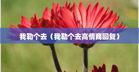 我勒我勒我勒什么歌（我勒个擦）