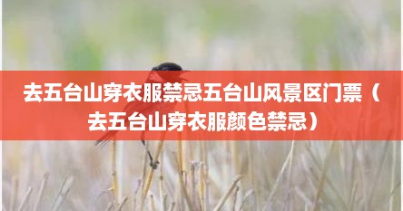 去五台山穿黑色衣服好不好（去五台山祈福穿衣服的禁忌）
