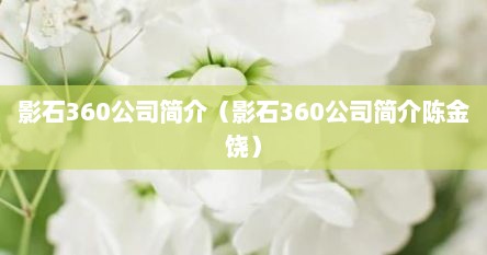 影石360公司简介（影石360公司简介陈金饶）