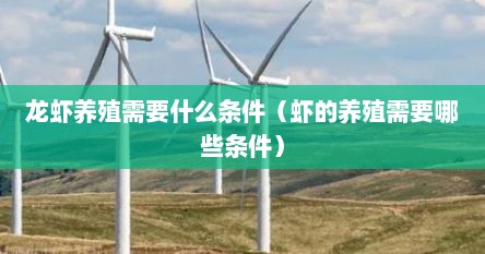 龙虾养殖需要什么条件（虾的养殖需要哪些条件）