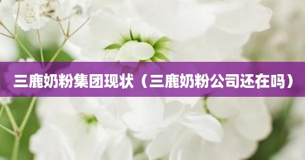 三鹿奶粉集团现状（三鹿奶粉公司还在吗）