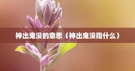 神出鬼没的意思（神出鬼没指什么）
