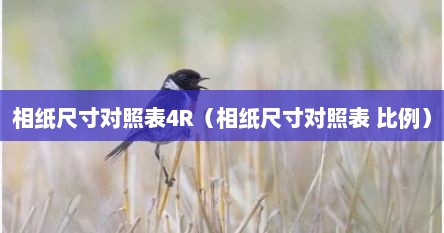 相纸尺寸对照表4R（相纸尺寸对照表 比例）