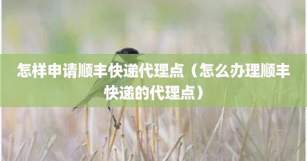 怎样申请顺丰快递代理点（怎么办理顺丰快递的代理点）