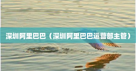 深圳阿里巴巴（深圳阿里巴巴运营部主管）