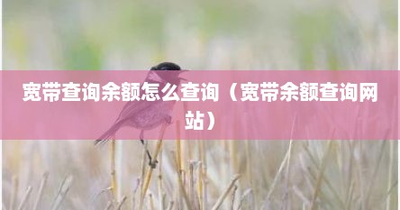 在线查询宽带余额（怎么网上查宽带余额）