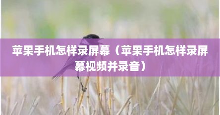 苹果手机怎样录屏幕（苹果手机怎样录屏幕视频并录音）