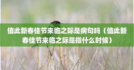 值此新春佳节来临之际是病句吗(值此新春佳节来临之际是指什么时候)
