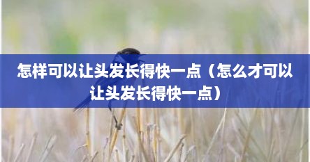 怎样可以让头发长得快一点（怎么才可以让头发长得快一点）