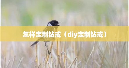 怎样定制钻戒（diy定制钻戒）