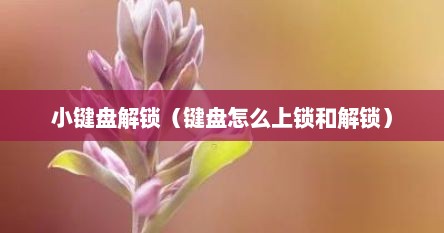 小键盘解锁（键盘怎么上锁和解锁）