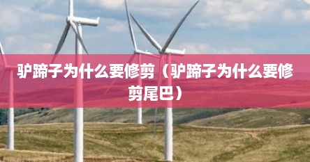 驴蹄子为什么要修剪（驴蹄子为什么要修剪尾巴）