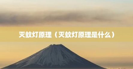灭蚊灯原理（灭蚊灯原理是什么）