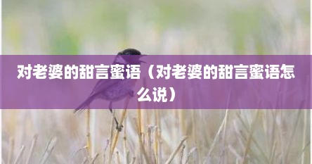 对老婆的甜言蜜语（对老婆的甜言蜜语怎么说）