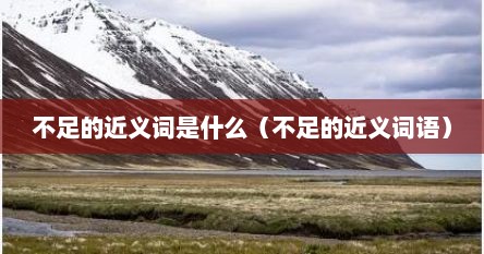 不足的近义词是什么（不足的近义词语）