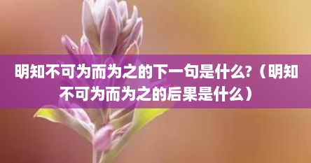 明知不可为而为之的下一句是什么?（明知不可为而为之的后果是什么）