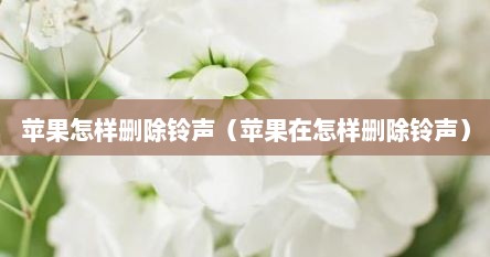 苹果怎样删除铃声（苹果在怎样删除铃声）