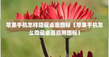 苹果手机怎样隐藏桌面图标（苹果手机怎么隐藏桌面应用图标）
