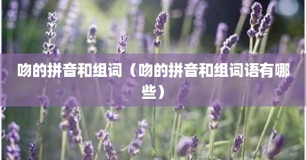 吻的拼音和组词（吻的拼音和组词语有哪些）