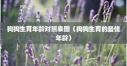 狗狗生育年龄对照表图（狗狗生育的最佳年龄）