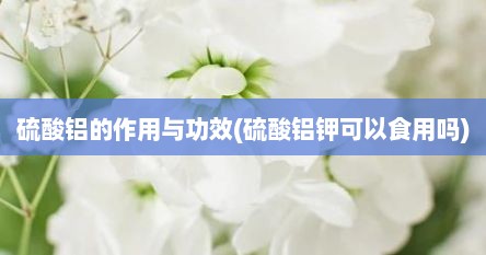 硫酸铝的作用与功效(硫酸铝钾可以食用吗)