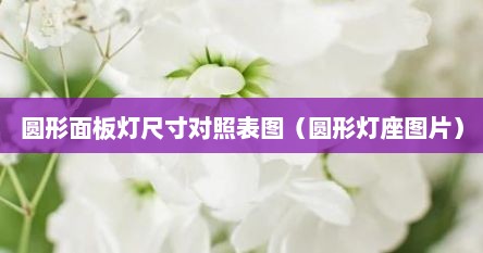 圆形面板灯尺寸对照表图（圆形灯座图片）