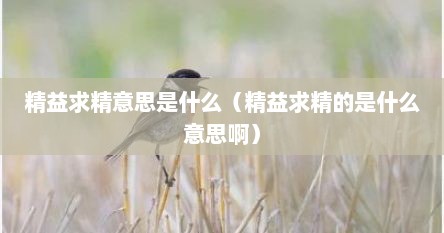精益求精意思是什么（精益求精的是什么意思啊）