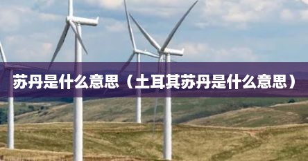 苏丹是什么意思（土耳其苏丹是什么意思）