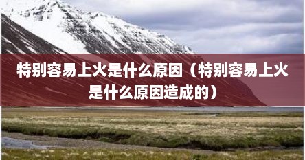 特别容易上火是什么原因（特别容易上火是什么原因造成的）