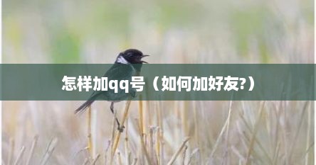 怎样加qq号（如何加好友?）