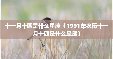 十一月十四是什么星座（1991年农历十一月十四是什么星座）