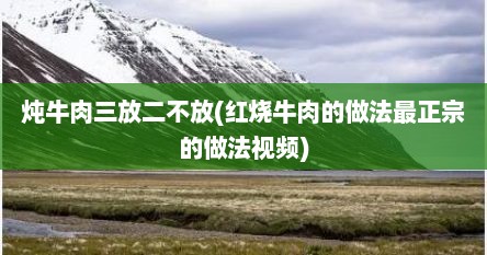 炖牛肉三放二不放(红烧牛肉的做法最正宗的做法视频)