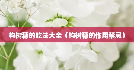 构树穗的吃法大全（构树穗的作用禁忌）