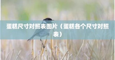 蛋糕尺寸对照表图片（蛋糕各个尺寸对照表）