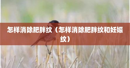 怎样消除肥胖纹（怎样消除肥胖纹和妊娠纹）