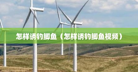 怎样诱钓鲫鱼（怎样诱钓鲫鱼视频）