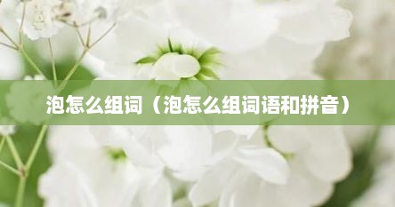 泡怎么组词（泡怎么组词语和拼音）