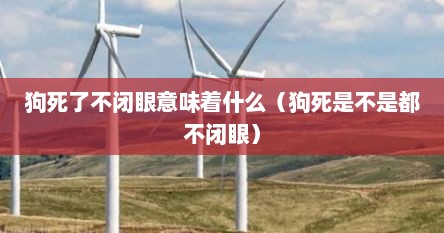 狗死了不闭眼意味着什么（狗死是不是都不闭眼）