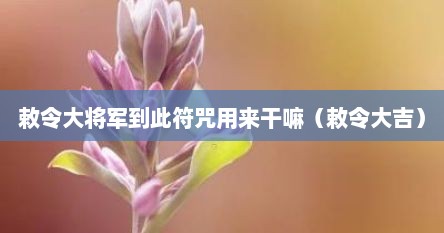 敕令大将军到此符咒用来干嘛（敕令大吉）