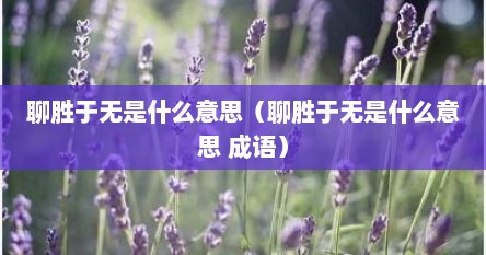 聊胜于无的聊意思（聊胜于无的聊的意思）