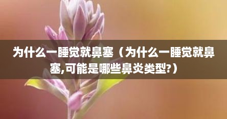 为什么一睡觉就鼻塞（为什么一睡觉就鼻塞,可能是哪些鼻炎类型?）