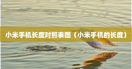 小米手机长度对照表图（小米手机的长度）