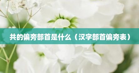 共的偏旁部首是什么（汉字部首偏旁表）