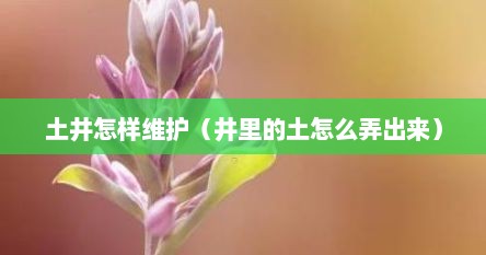 水井怎样清理泥土（井里有土怎么弄出来）